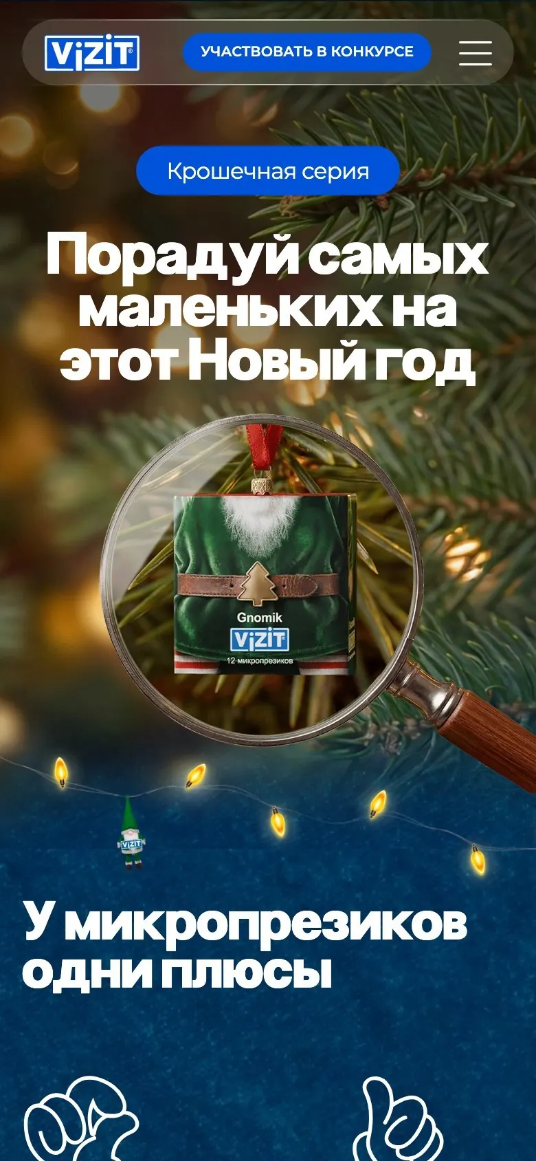 Мобильная версия VIZIT Gnomik