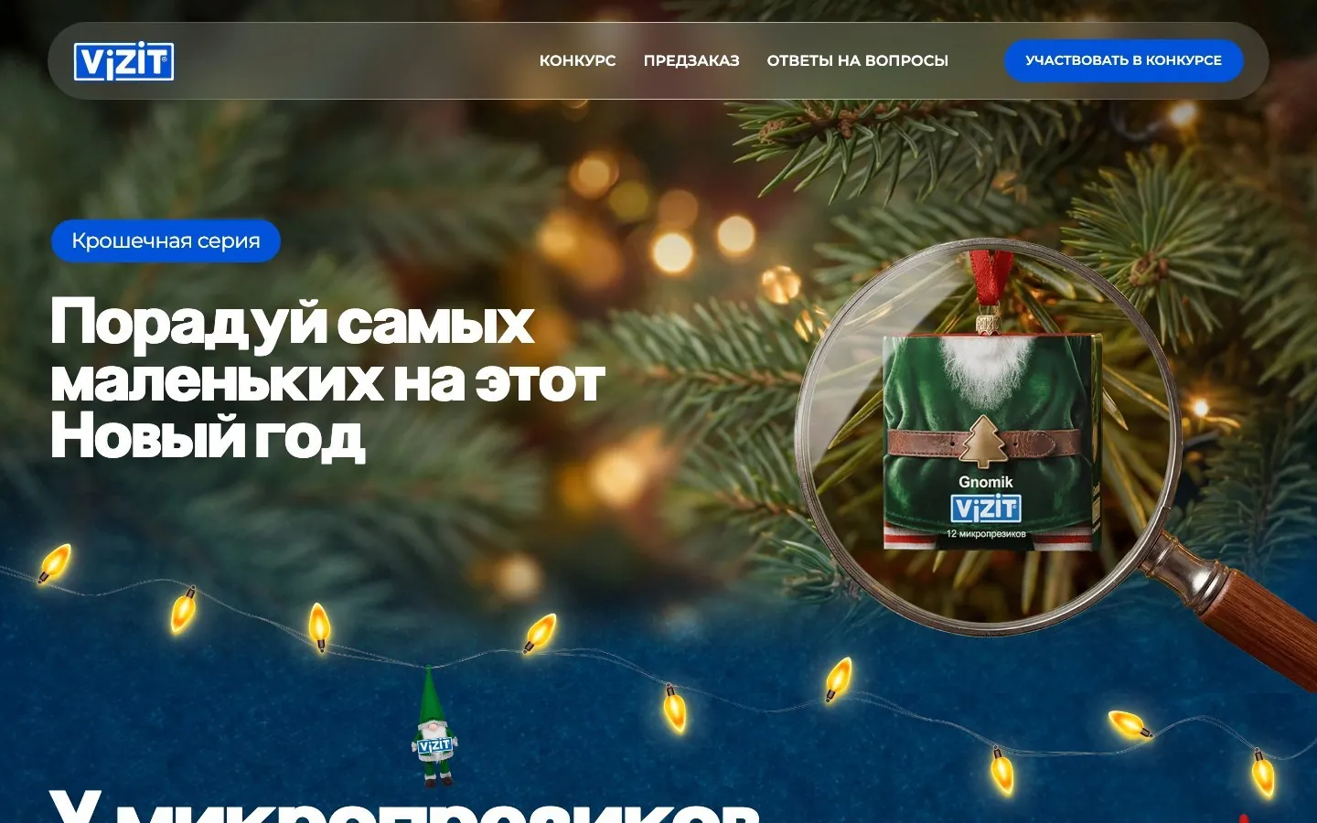 Сайт VIZIT Gnomik
